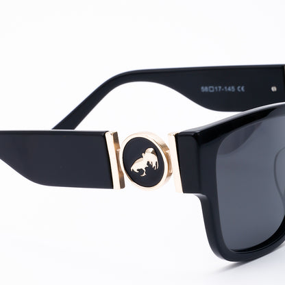 Sun Glasses